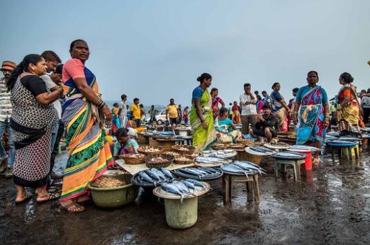 Harnai Fish Market